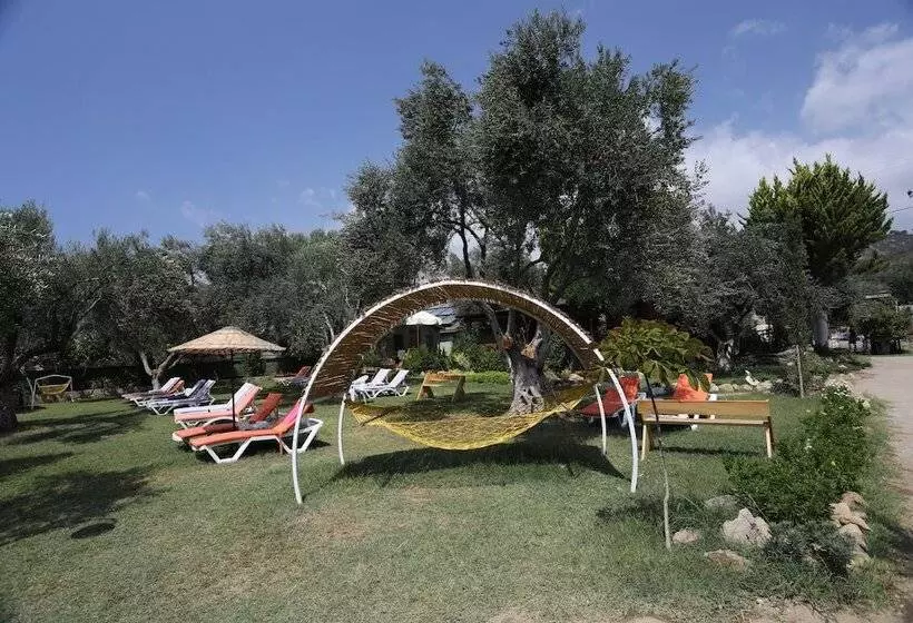 ホテル Antique Beach And Bungalow