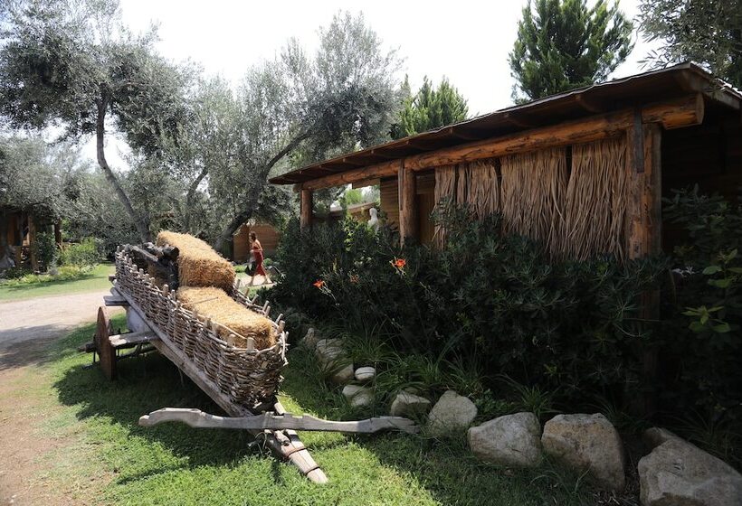 فندق Antique Beach And Bungalow