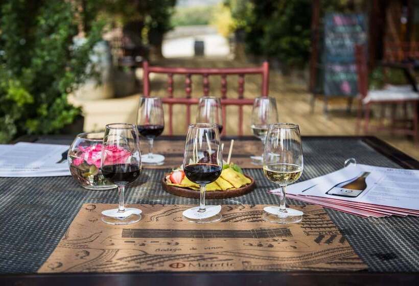 Hotel La Casona At Matetic Vineyards