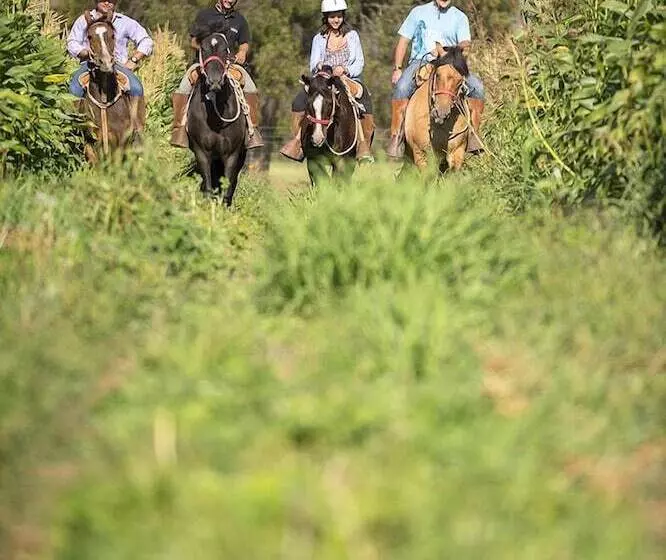 Hotelli La Casona At Matetic Vineyards