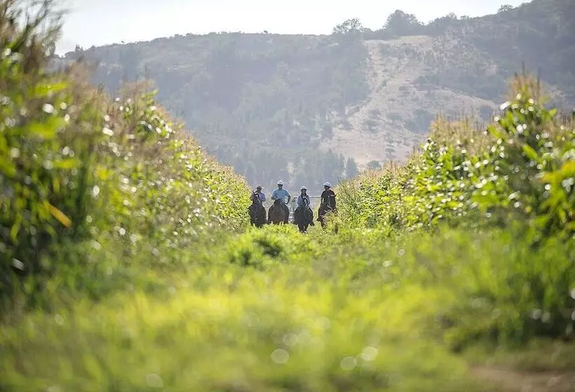 Hotelli La Casona At Matetic Vineyards