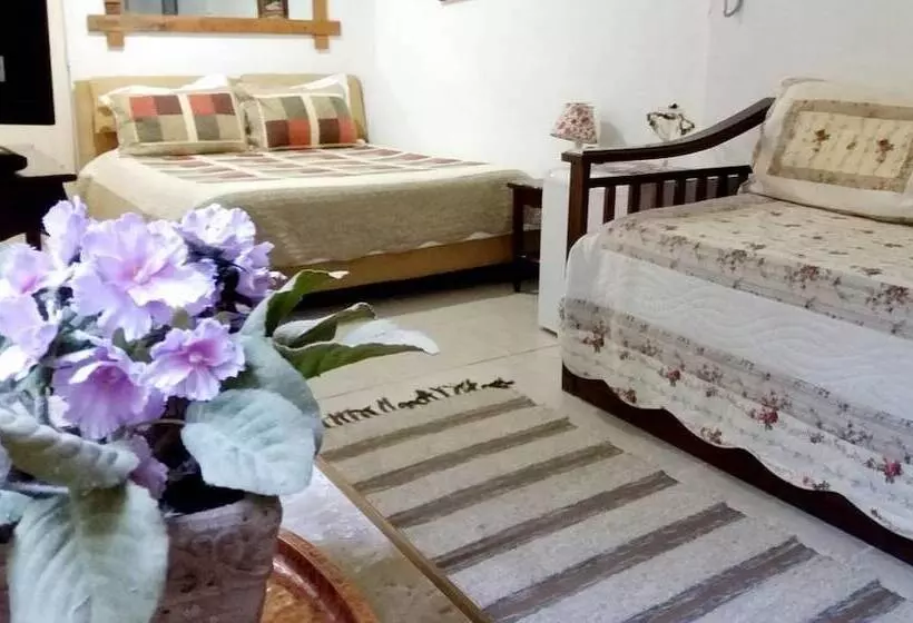 ホテル Pousada Casa Do Ipê Amarelo
