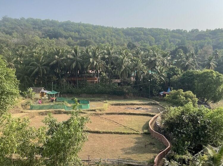 酒店 Regulus Resort