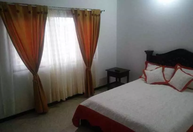 ペンション Aparta Hotel Villa Luna