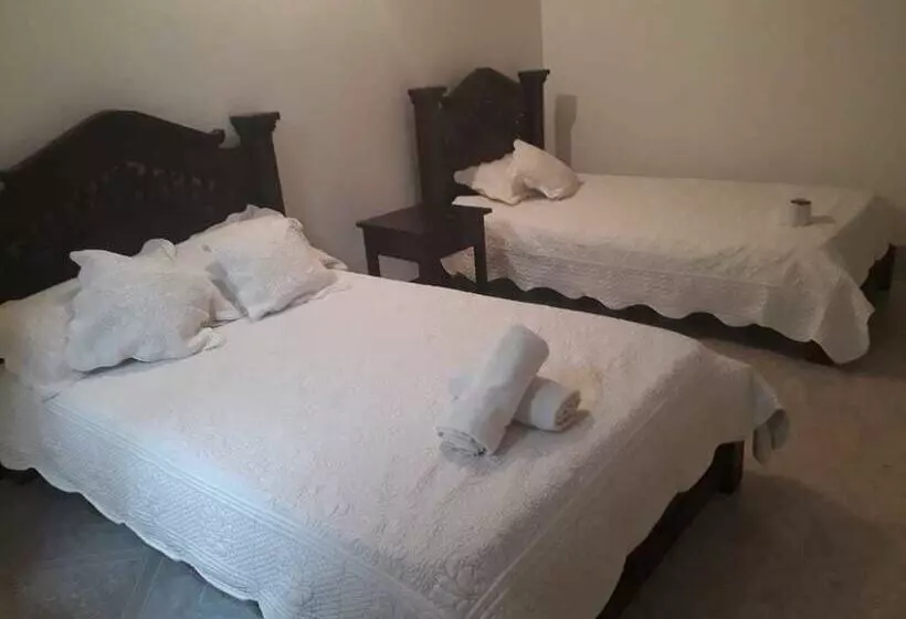 ペンション Aparta Hotel Villa Luna