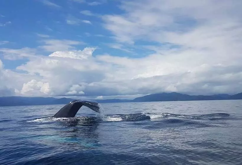 ペンション Cabaña Kirita