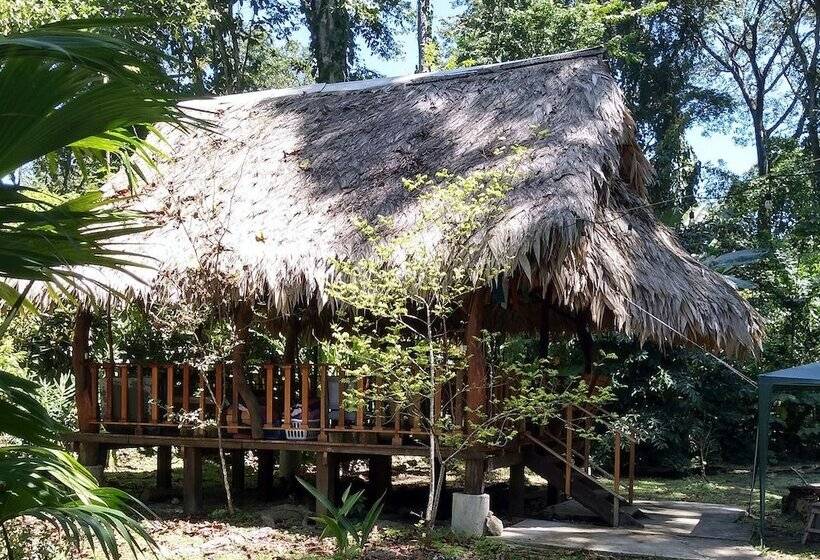 پانسیون Casa Angelika