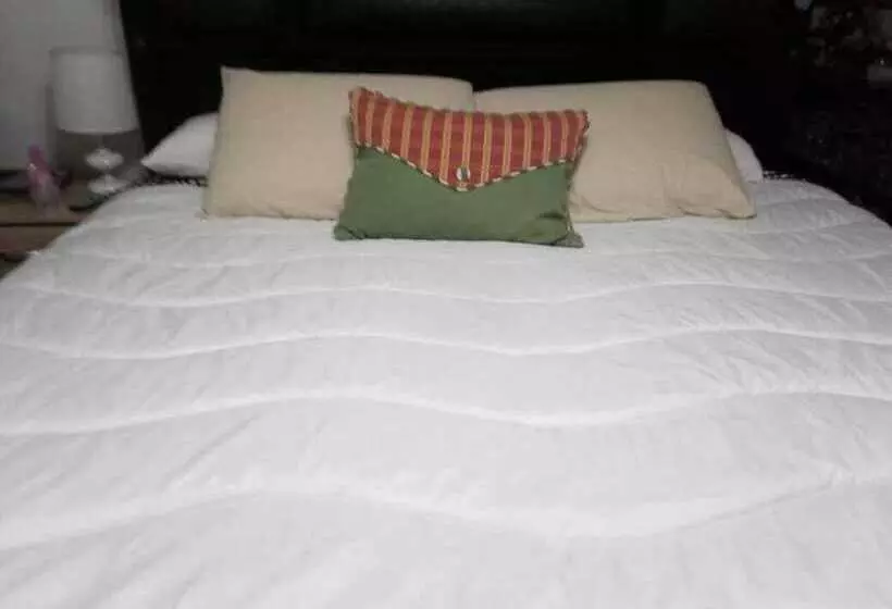 Hostal El Aromo Pensión A Empresas