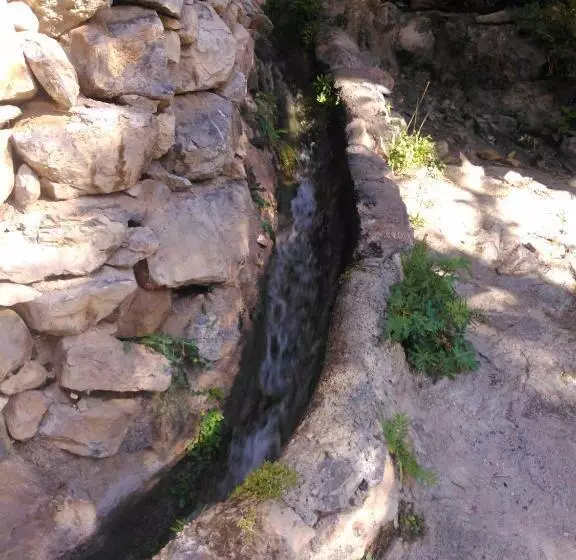 پانسیون Misfah Old House