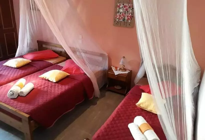 ペンション Sofia Margarita S Rooms