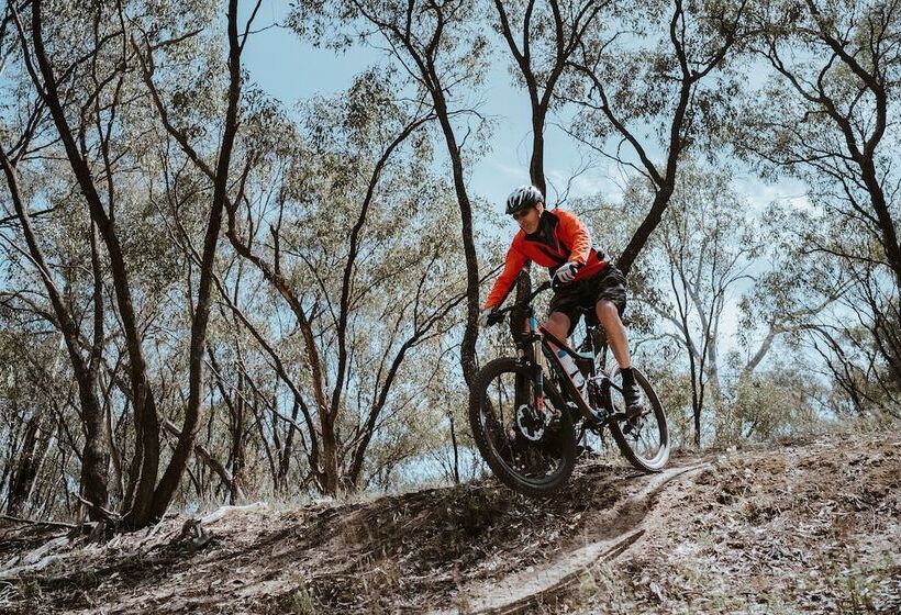 אתר נופש Big4 Deniliquin Holiday Park