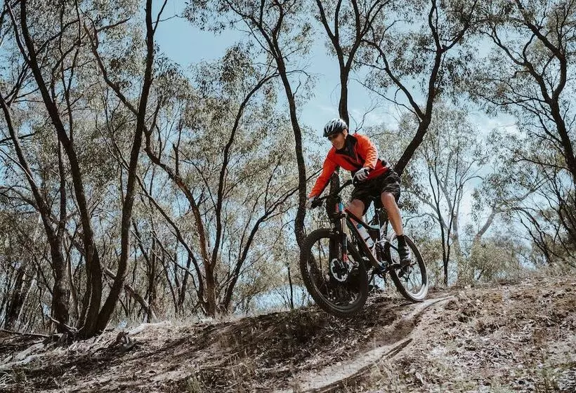 リゾートホテル Big4 Deniliquin Holiday Park