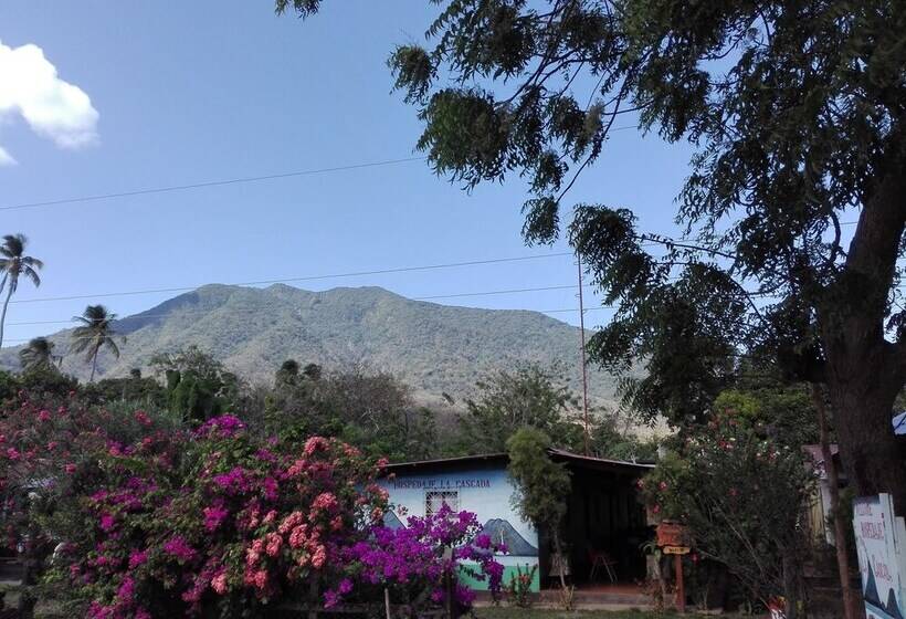 هاستل Hospedaje La Cascada