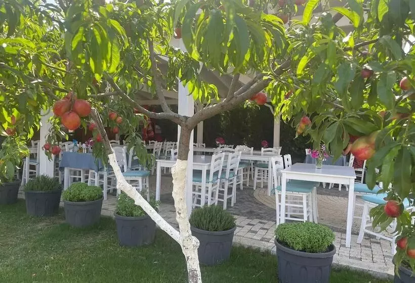 Cali̇sto 17 Buti̇k Otel