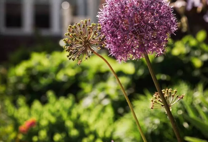 East Bay Bed & Breakfast