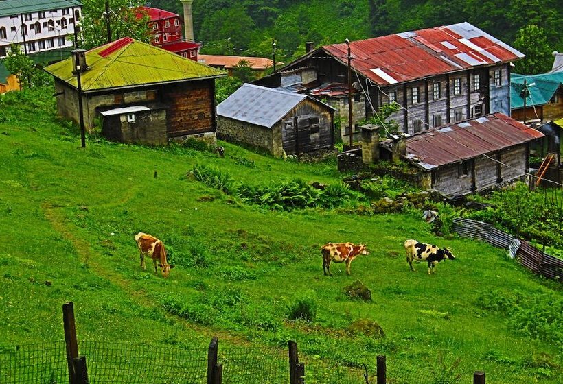 فندق Ayder Liligum Dag Evi