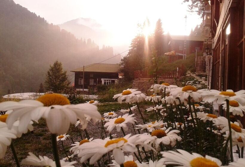 فندق Ayder Liligum Dag Evi