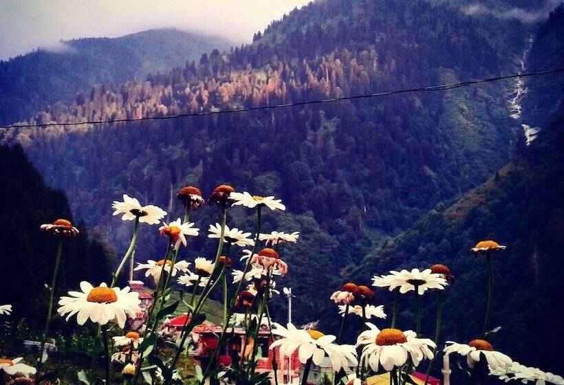 فندق Ayder Liligum Dag Evi