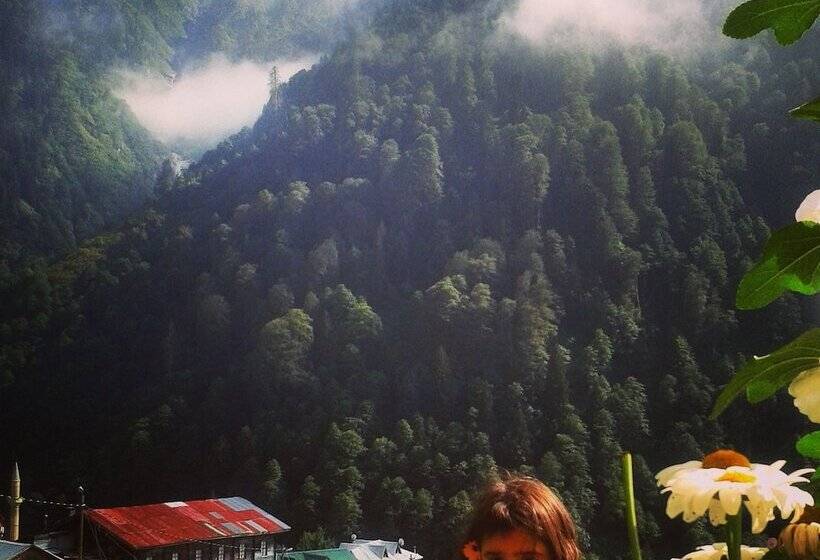 فندق Ayder Liligum Dag Evi