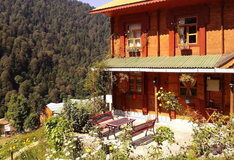 فندق Ayder Liligum Dag Evi