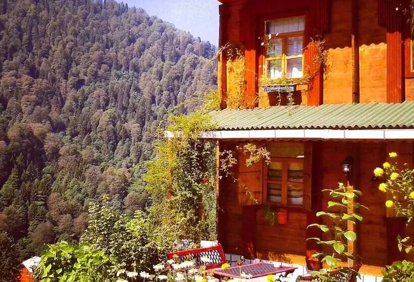 ホテル Ayder Liligum Dag Evi