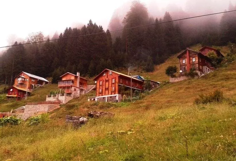 ホテル Ayder Liligum Dag Evi