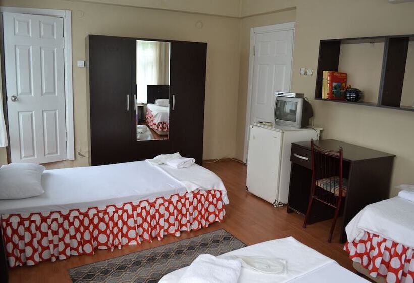 酒店 Damla Pansiyon