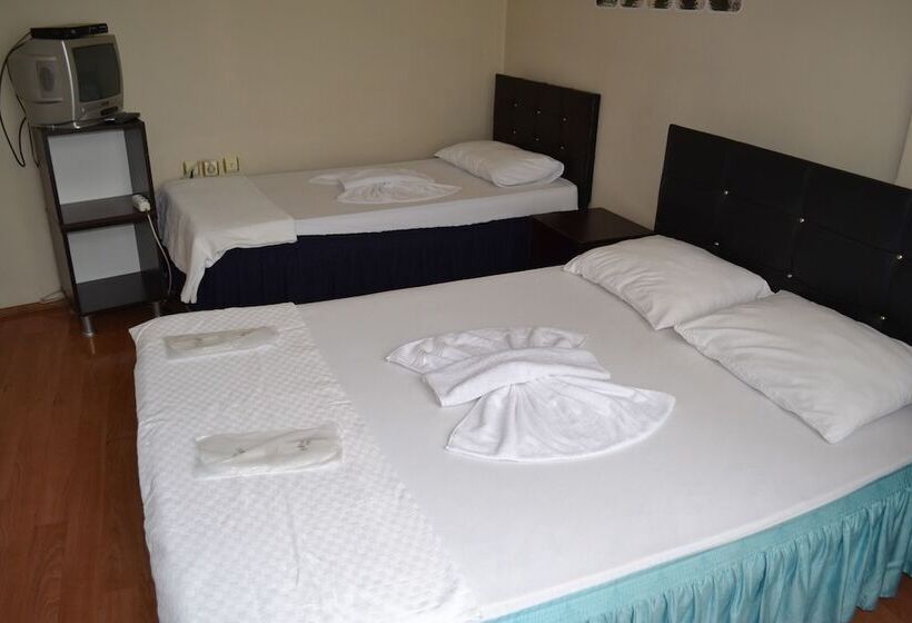 酒店 Damla Pansiyon