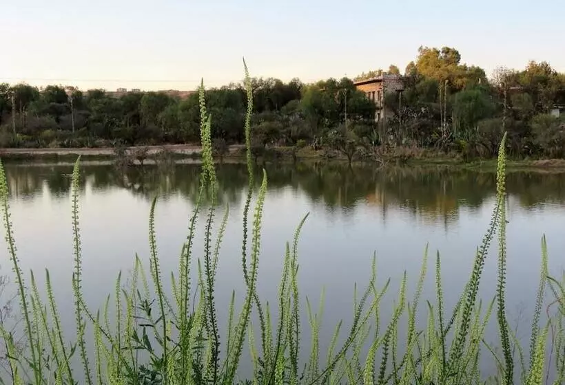 ホテル Hacienda Tovares Resort Ecuestre & Spa