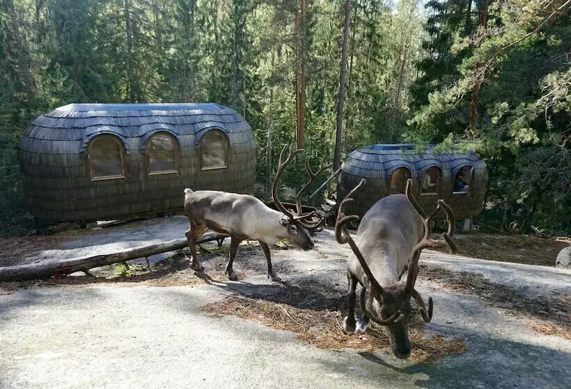 هتل Igluhut Sleeping With Reindeer