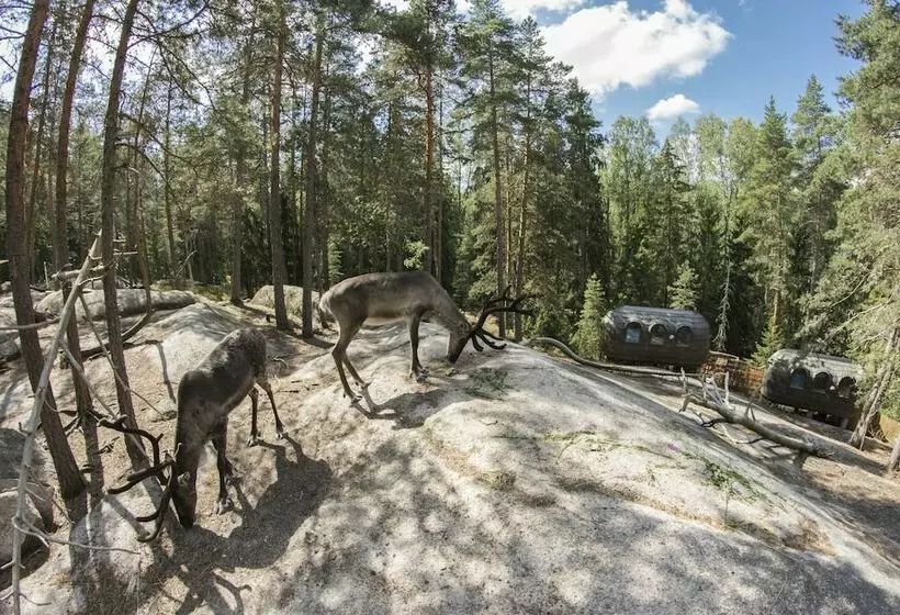 هتل Igluhut Sleeping With Reindeer