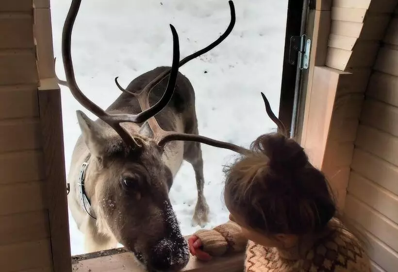 هتل Igluhut Sleeping With Reindeer