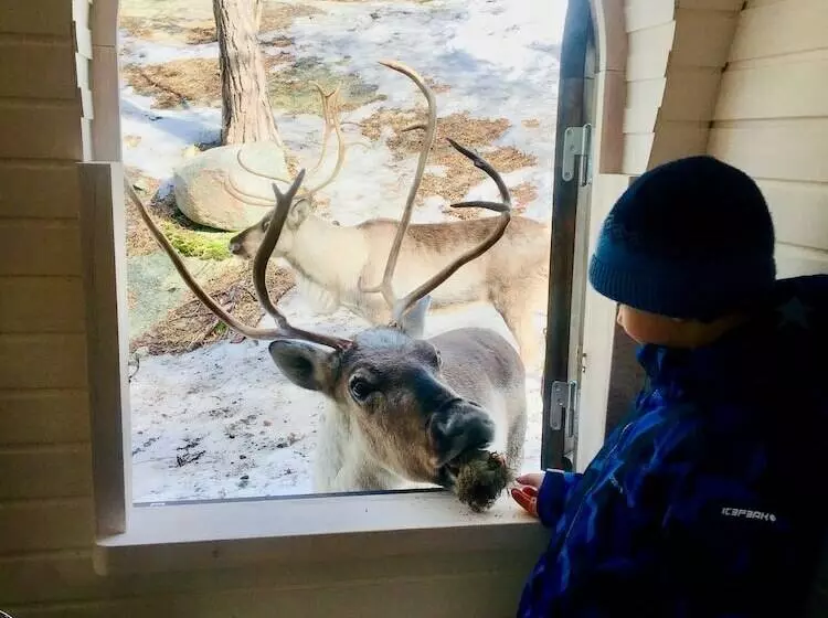 هتل Igluhut Sleeping With Reindeer