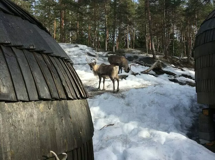 هتل Igluhut Sleeping With Reindeer