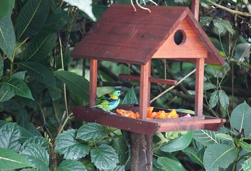 Hotel Pousada Do Riacho