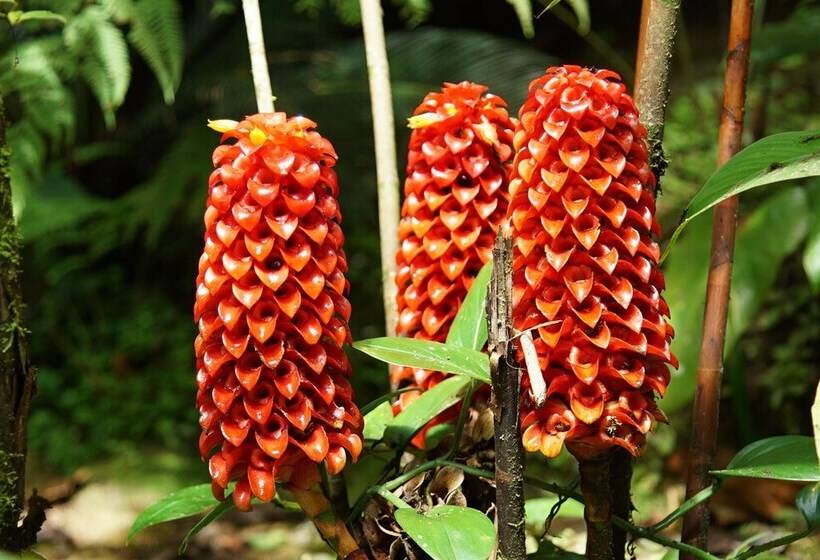 Hotel Pousada Do Riacho