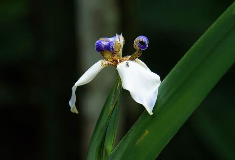 Hotel Pousada Do Riacho