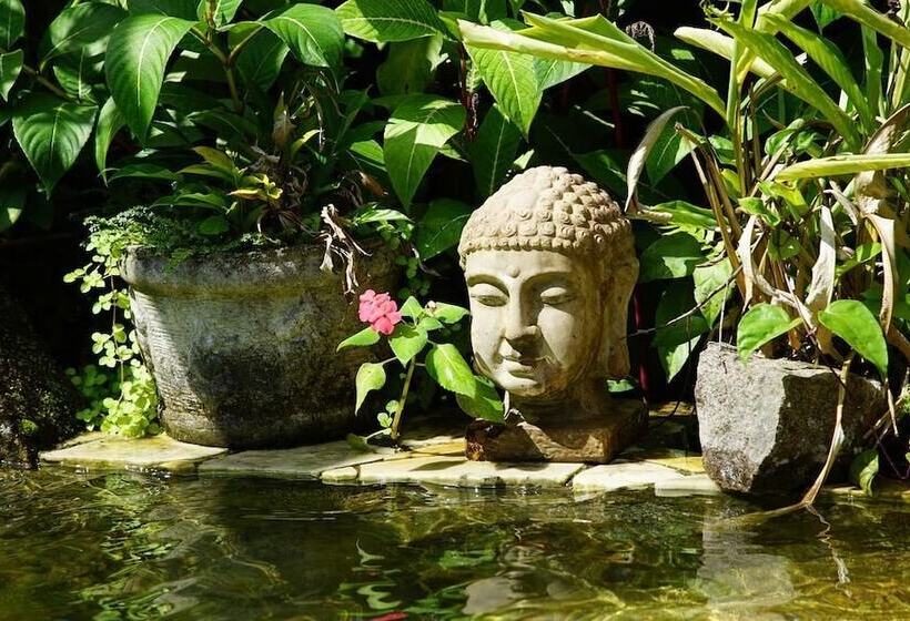 Hotel Pousada Do Riacho