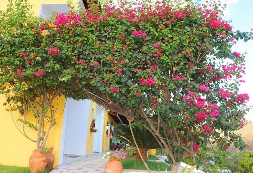 Hotelli Pousada Lampião Rio