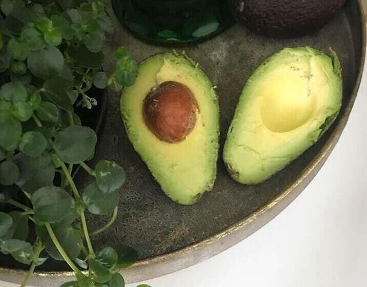 فندق Solhaug Camping