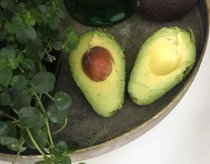 Hotelli Solhaug Camping