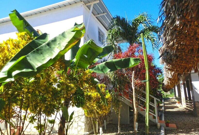 هتل Sosua Adventure & Wellness