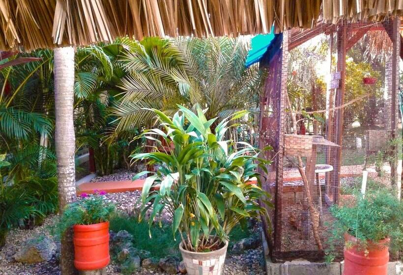 هتل Sosua Adventure & Wellness