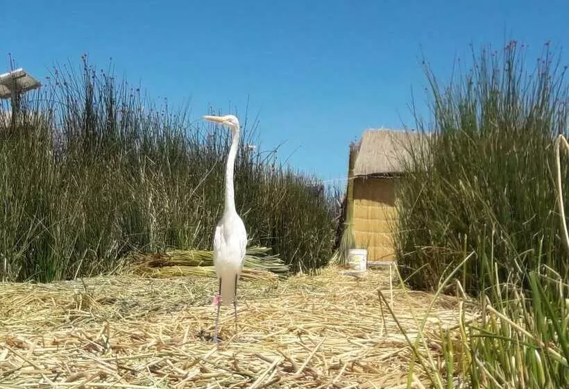 هتل Uros Amaru Marka Lodge