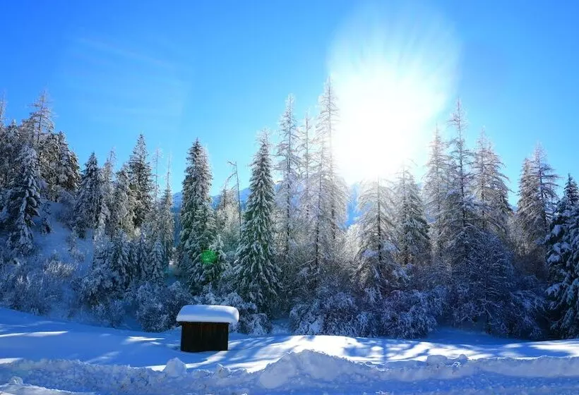 Hotelli Zirbennest Martha