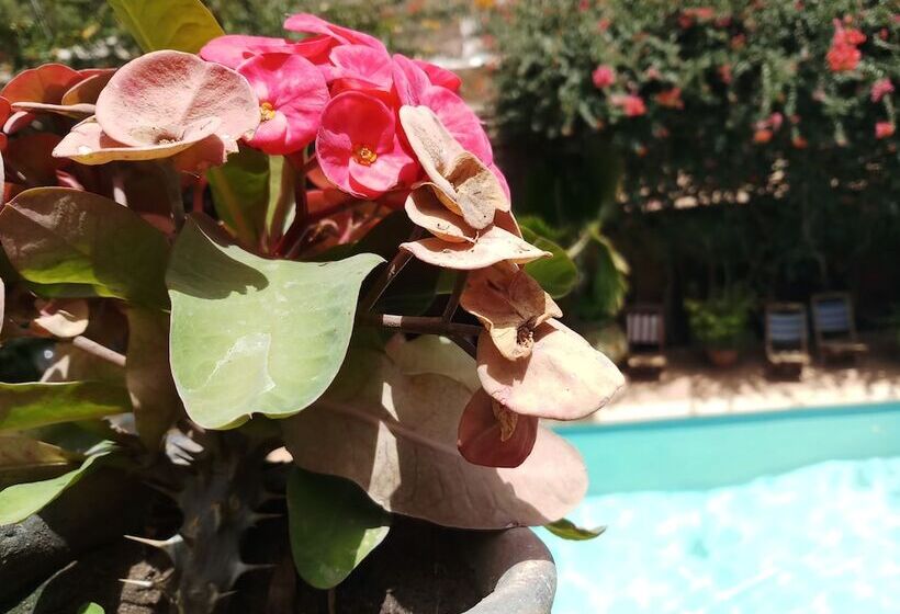 پانسیون Auberge Khady