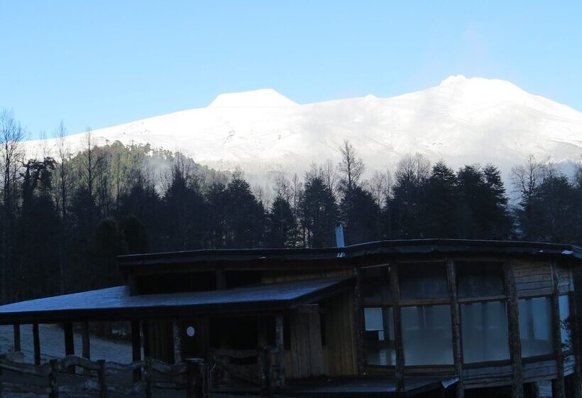 פנסיון Cabaña Los Coigues 2308