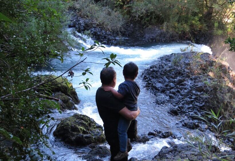 פנסיון Cabaña Los Coigues 2308