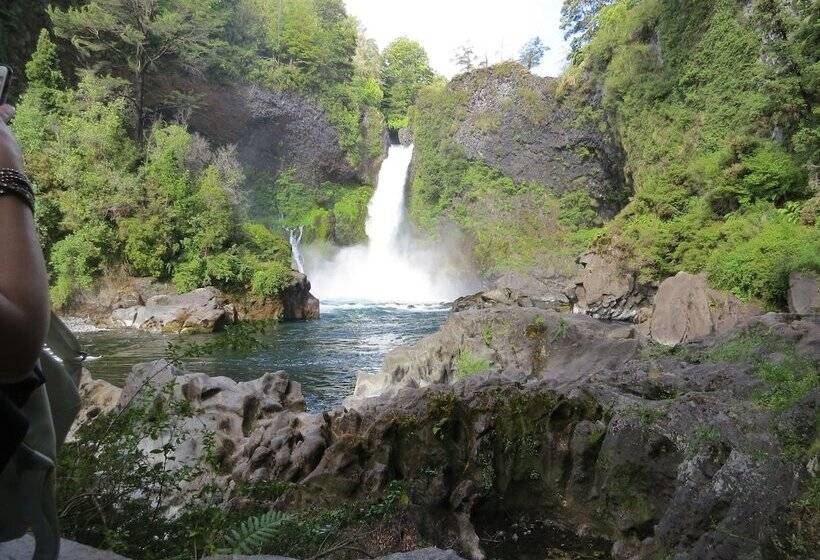 פנסיון Cabaña Los Coigues 2308