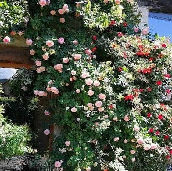 ペンション La Ferme Bonne De La Grotte